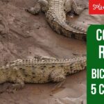 Descubre las 6 Claves para Pedalear en Costa Rica