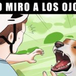 Sobreviviendo a los Ataques de Perros: 10 Claves Esenciales