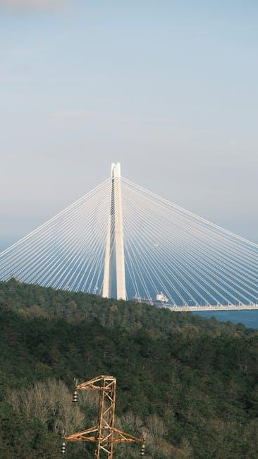Suspensión MTB para principiantes 5 Consejos para el mantenimiento básico de la suspensión